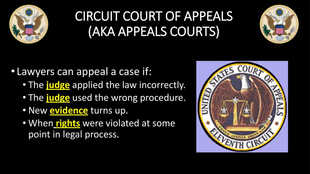 The Judicial Branch SS.7.C.3.8: Analyze The Structure, Function, And ...