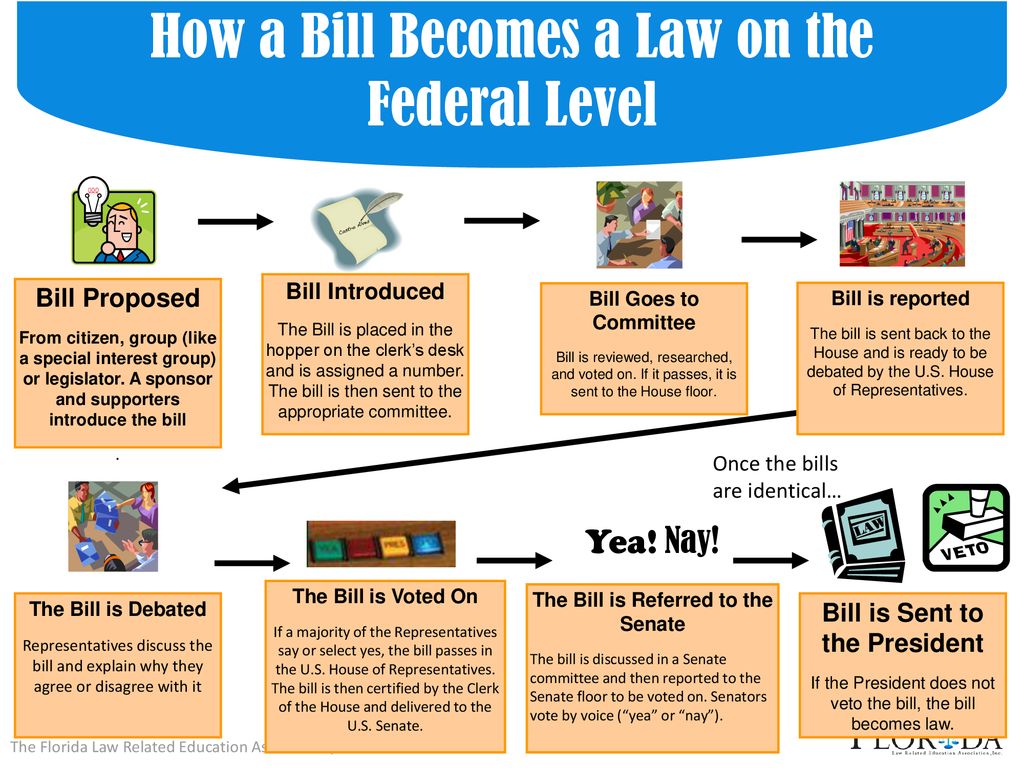 Analyzing the Legislative, Executive, and Judicial Branches ...