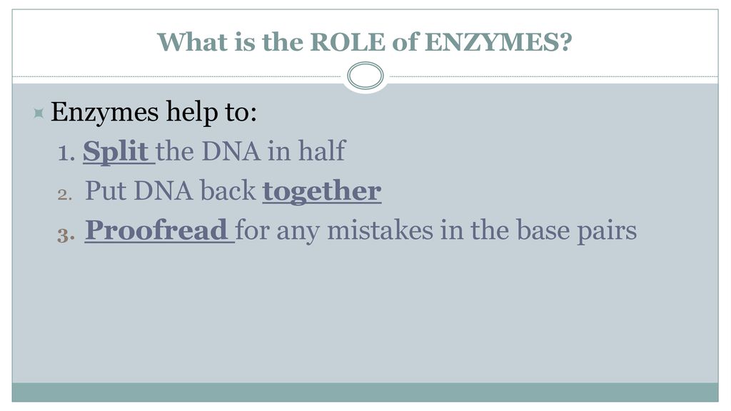 What is the ROLE of ENZYMES