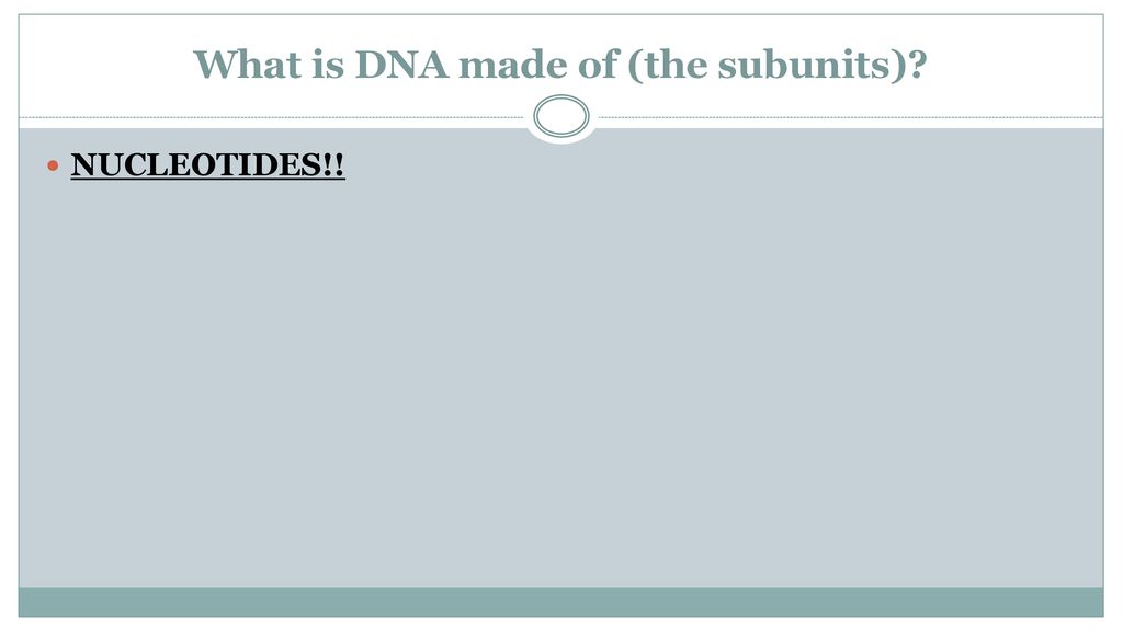 What is DNA made of (the subunits)