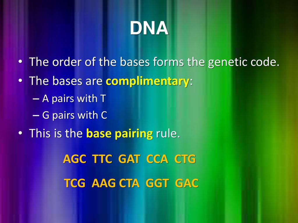 Cells dna and chromosomes ppt download