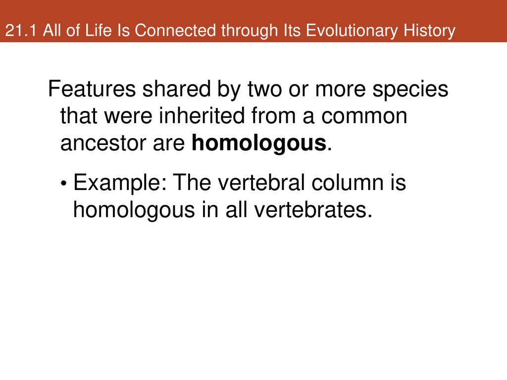 Reconstructing and Using Phylogenies - ppt download