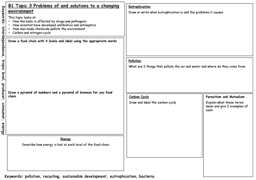 Give 2 Examples Of Food Chain Give 2 Examples Of Food Chain
