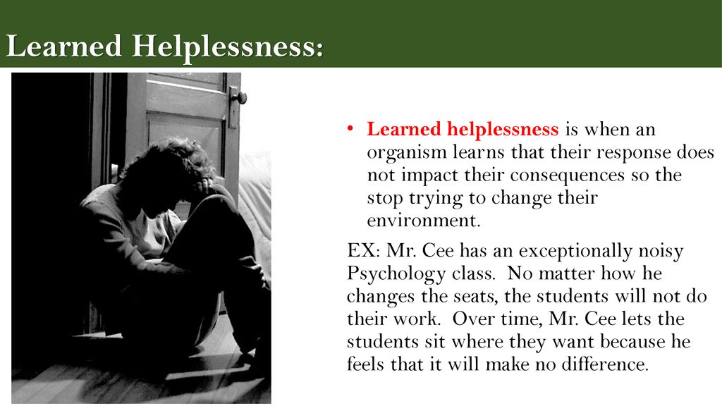 Learning and behavior ppt download