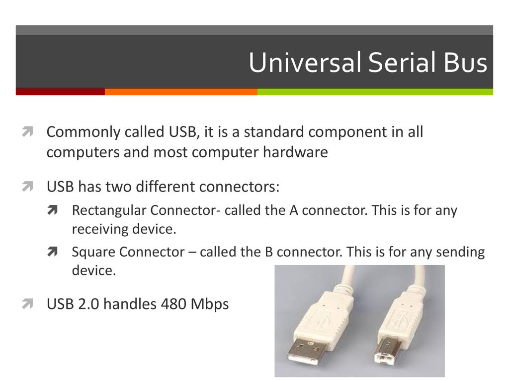 Universal Serial Bus Commonly called USB, it is a standard component in all computers and most computer hardware.