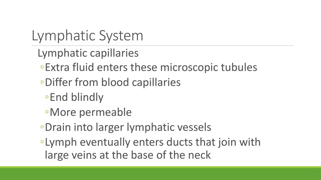 Cardiovascular and lymphatic systems - ppt download