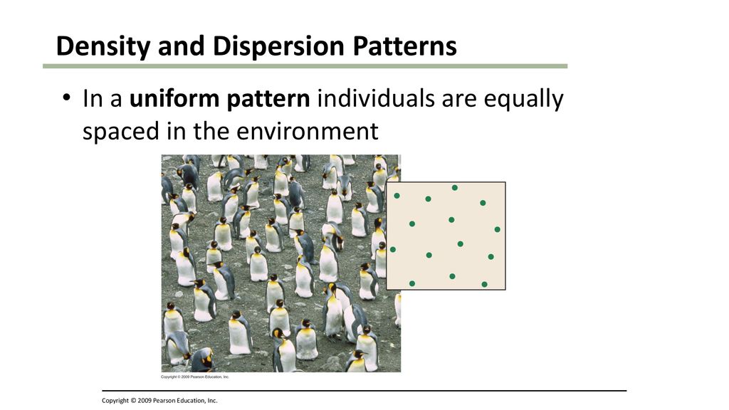 Density and Dispersion Patterns