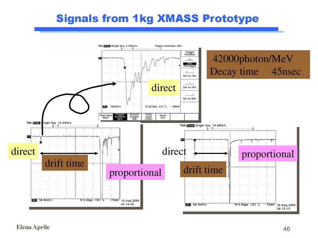 Signals from 1kg XMASS Prototype