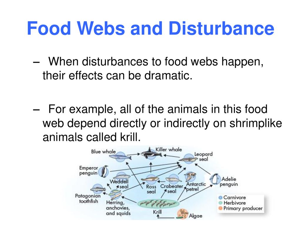Lesson Overview 3.1 What Is Ecology?. Biology Diagrams
