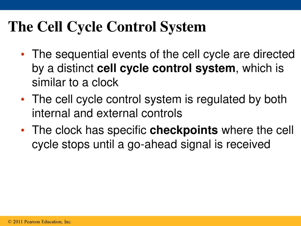 Chapter 12 The Cell Cycle. Biology Diagrams
