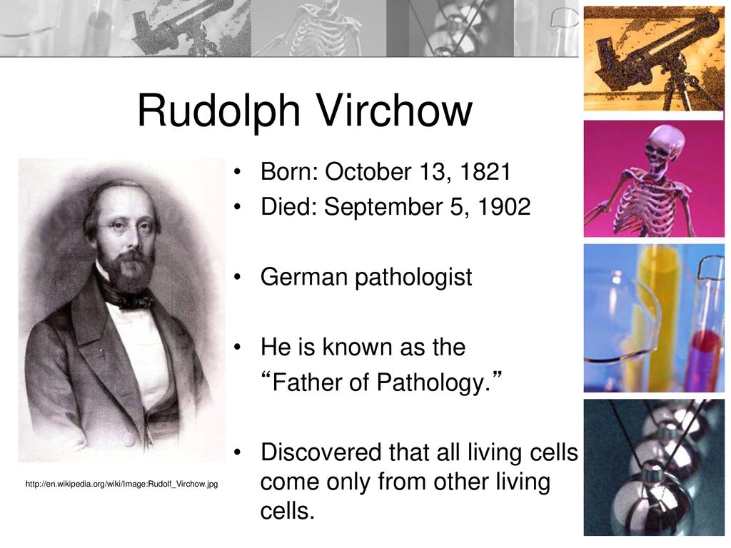 Rudolph Virchow Born: October 13, 1821 Died: September 5, 1902