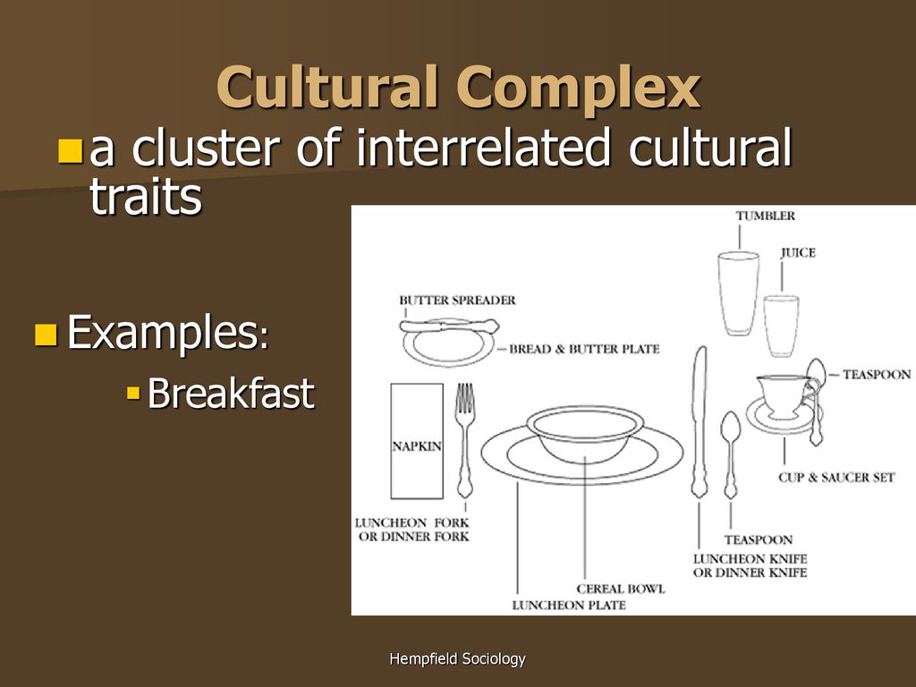 Chapter 2 Lesson 1 - Elements of Culture The Meaning of Culture - ppt  download