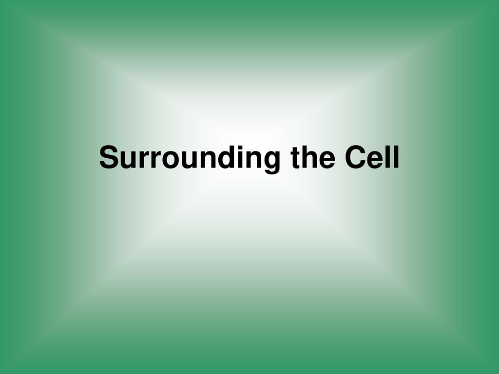 Surrounding the Cell