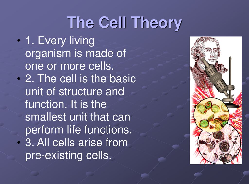 The Cell Theory 1. Every living organism is made of one or more cells.
