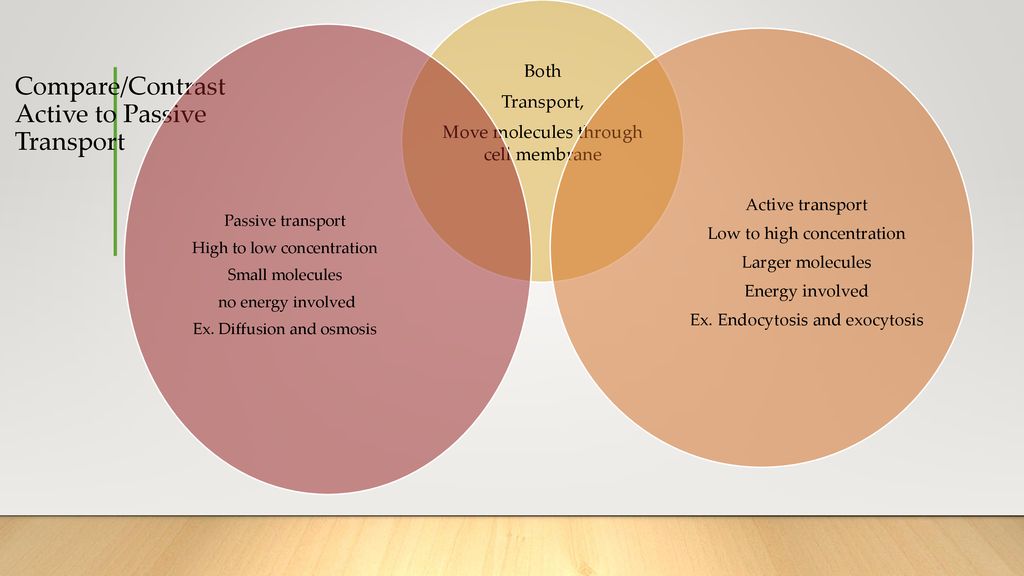 Biology eoc friday 12 15 ppt download
