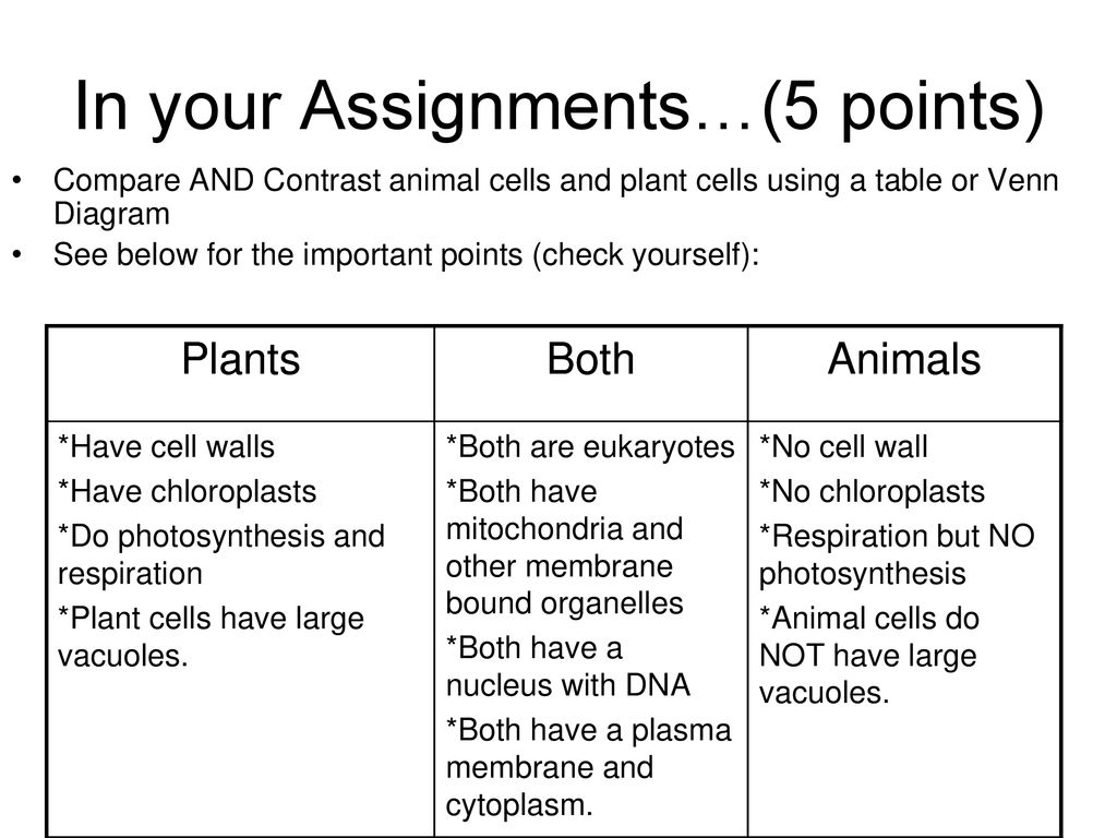 THE CELL Why are cells awesome? - ppt download THE CELL Why are cells awesome? - ppt download