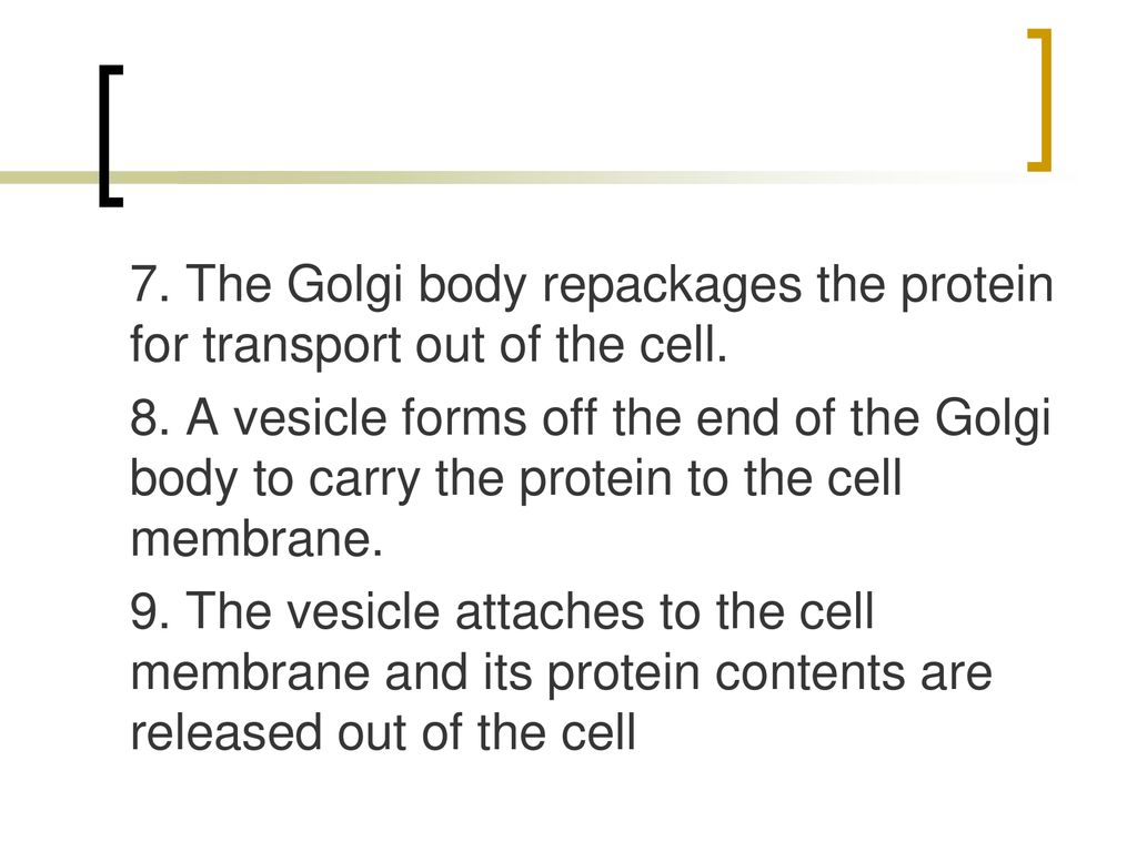 Cell Growth and Reproduction Biology Diagrams