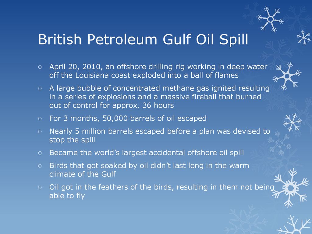 British Petroleum Gulf Oil Spill