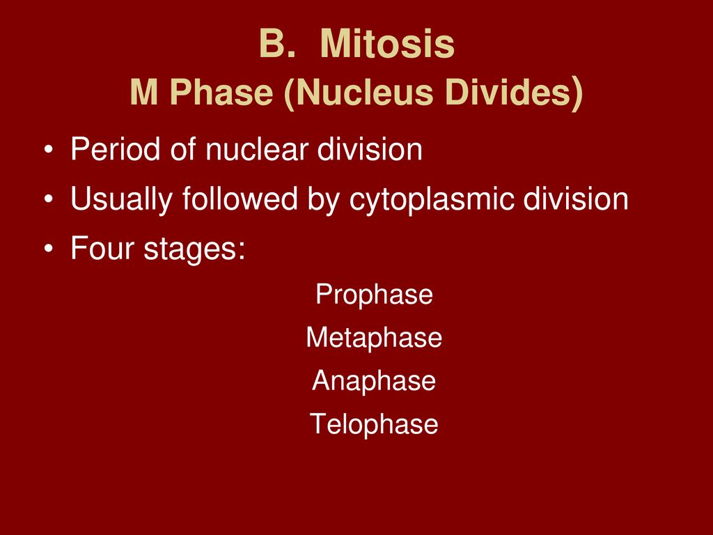 Lesson 81 CHROMOSOMES Biology Diagrams