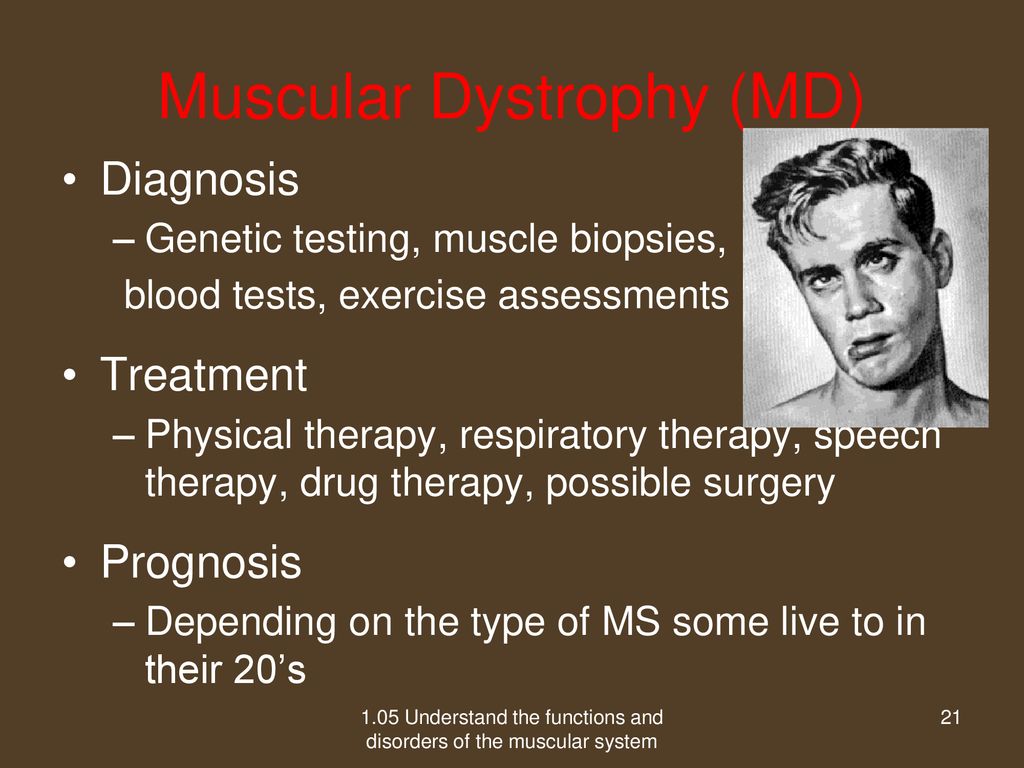 1.05 Understand the functions of the muscular system - ppt download