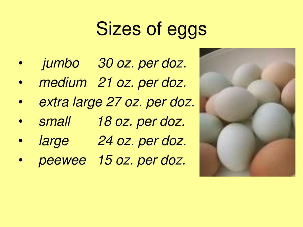 Parts of the egg thick albumen thin albumen shell air cell yolk ppt