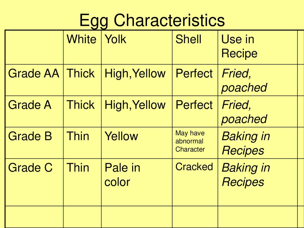 Parts of the egg thick albumen thin albumen shell air cell yolk ppt