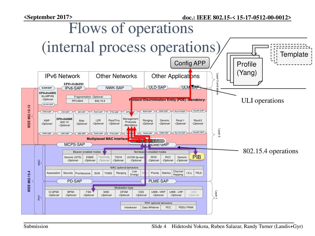 Flows of operations (internal process operations)