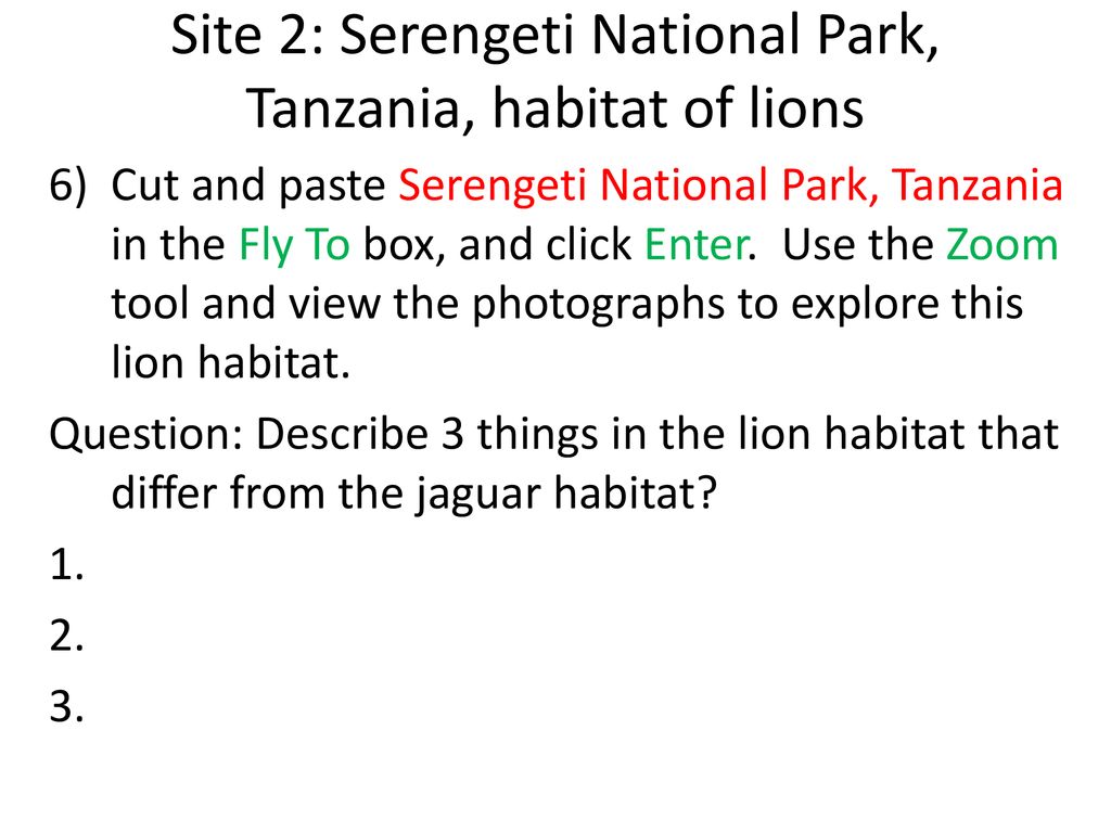 Student Work Exploring Large Cat Habitats - ppt download