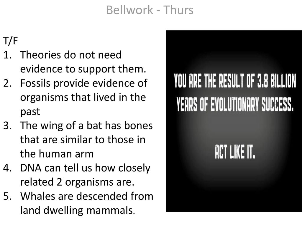 Bellwork - Thurs T/F 1. Theories do not need evidence to support them