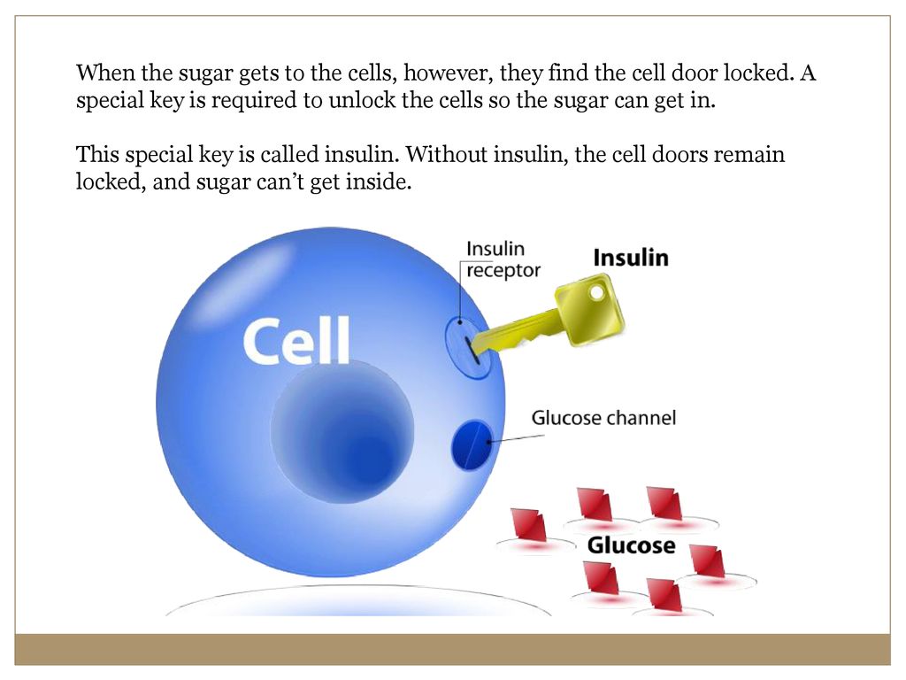 Diabetes Vip Patient Education Ppt Download