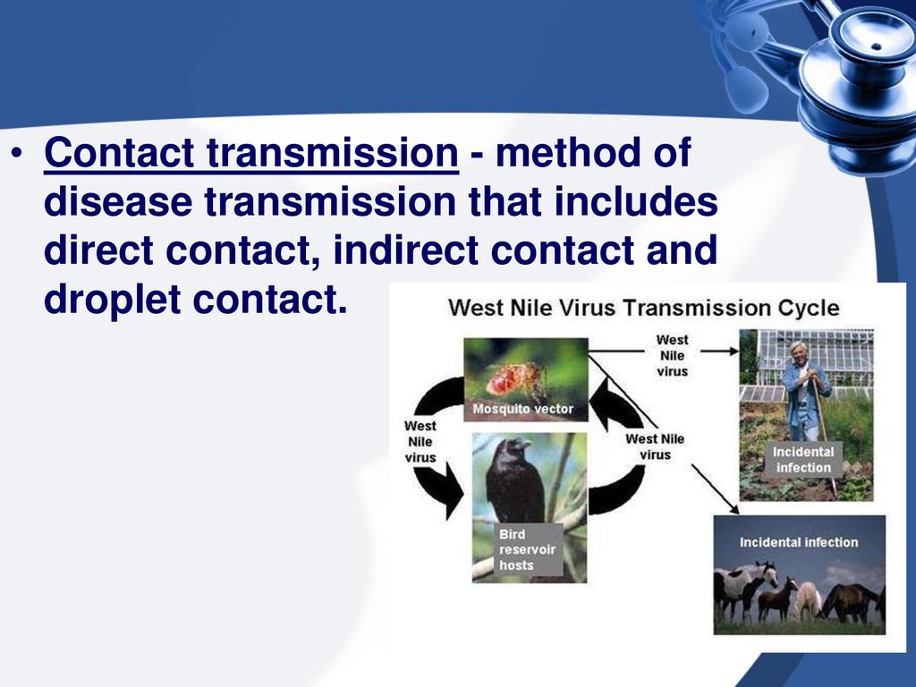 Medical Terminology B General Terminology. ppt download
