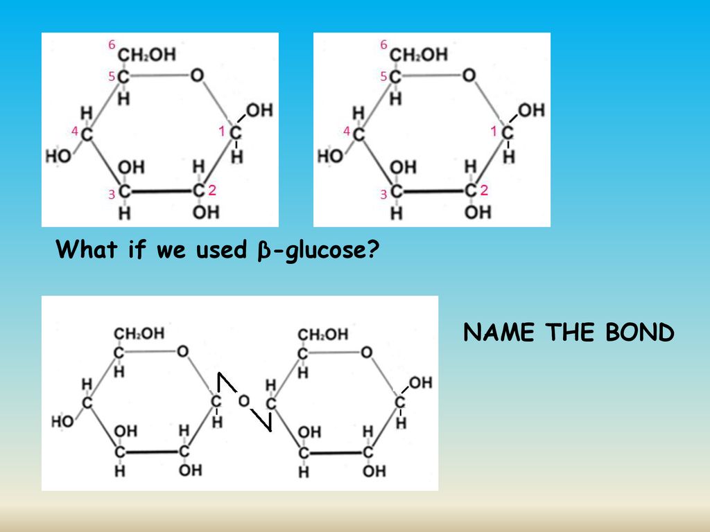 Biomolecule Modeling Kelly Riedell Brookings Biology - Ppt Download