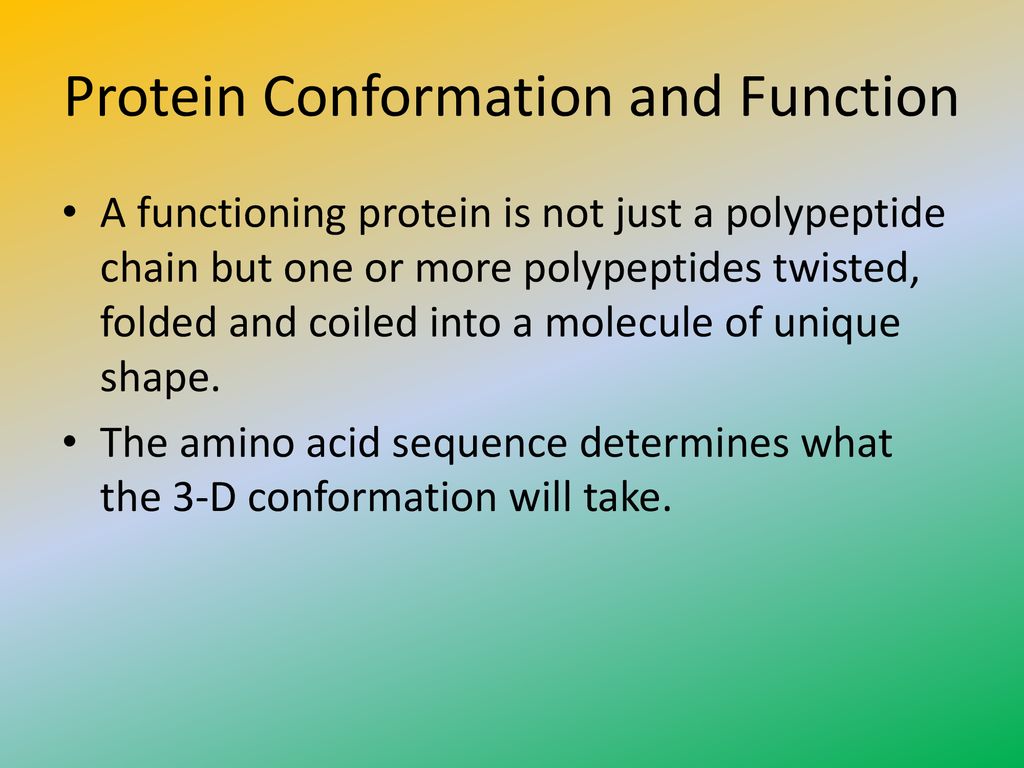 Macromolecules AP Biology ppt download