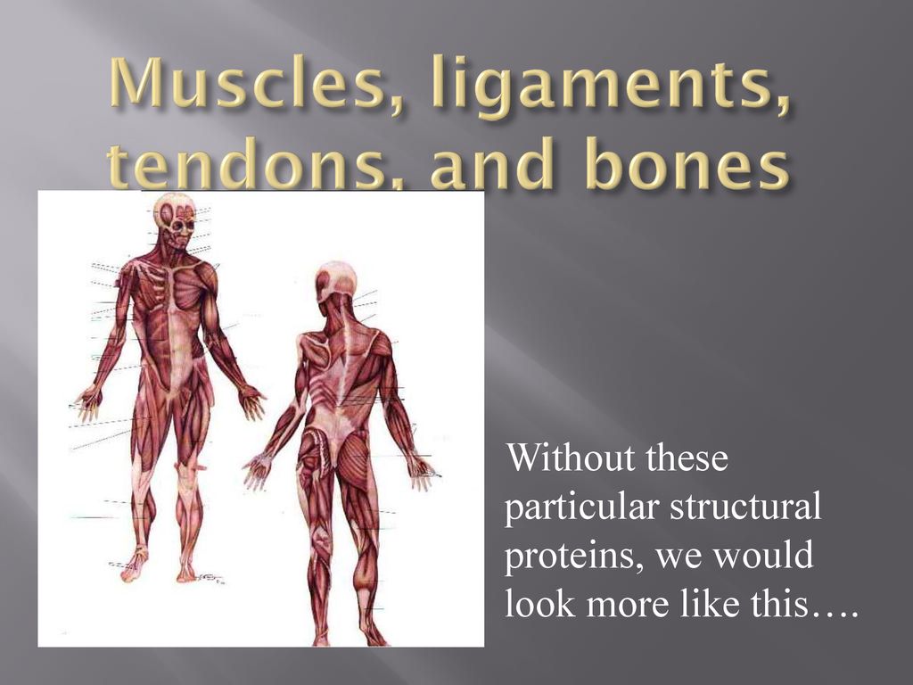 Introduction: What makes us look like our parents Biology Diagrams