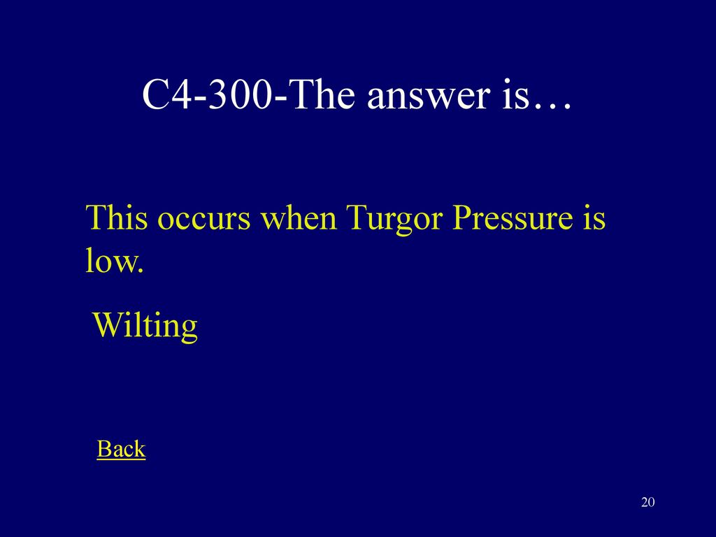 C4-300-The answer is… This occurs when Turgor Pressure is low. Wilting