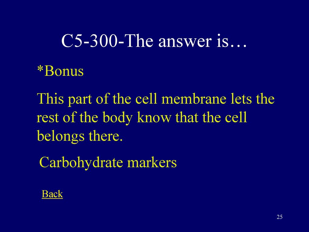 C5-300-The answer is… *Bonus
