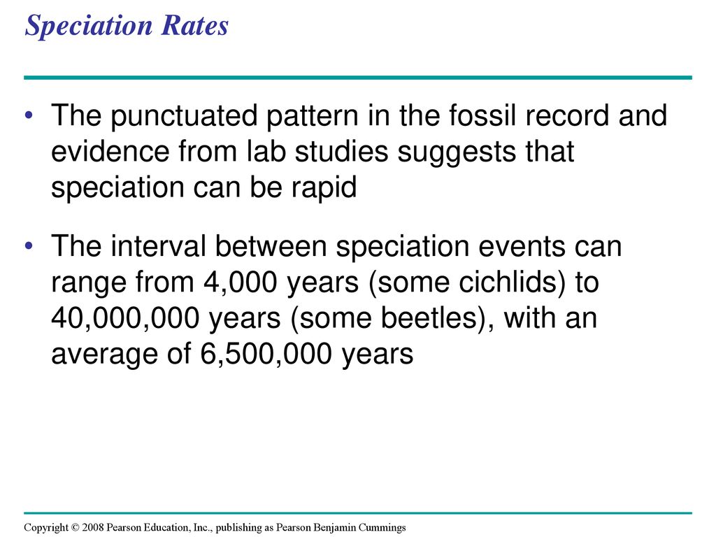 Speciation Rates The punctuated pattern in the fossil record and evidence from lab studies suggests that speciation can be rapid.