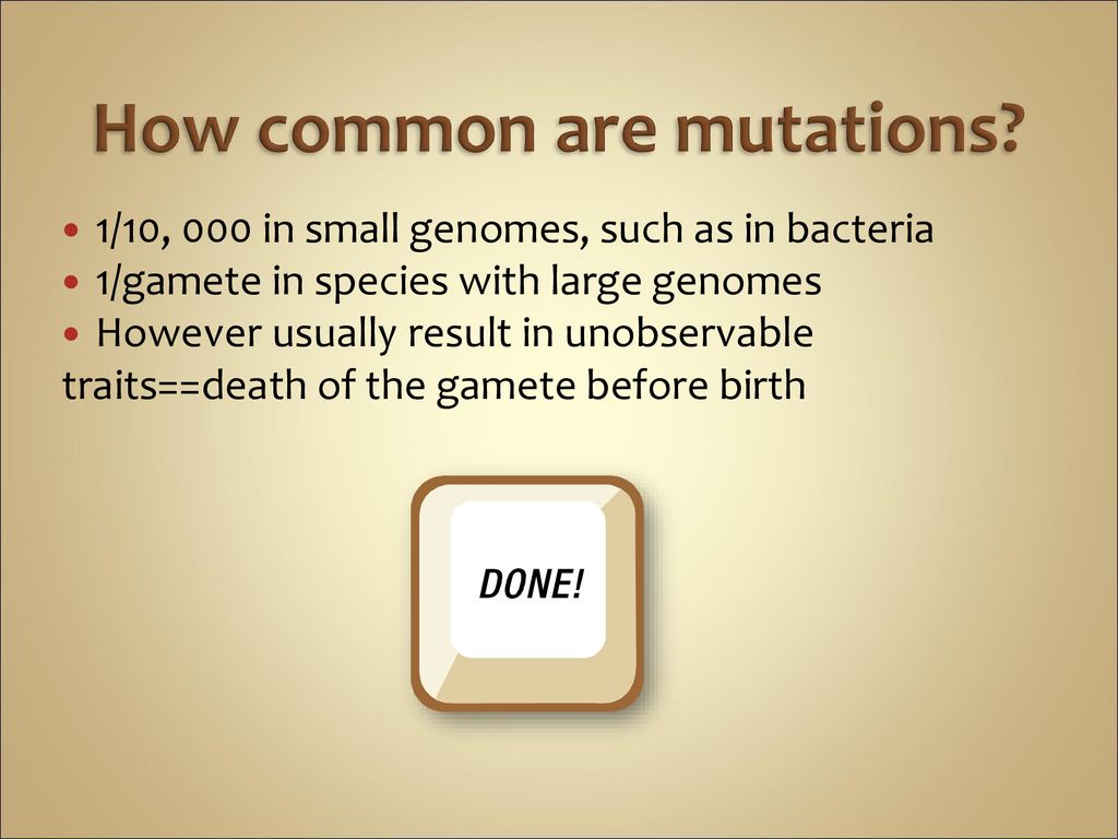 Evolution random change ppt download
