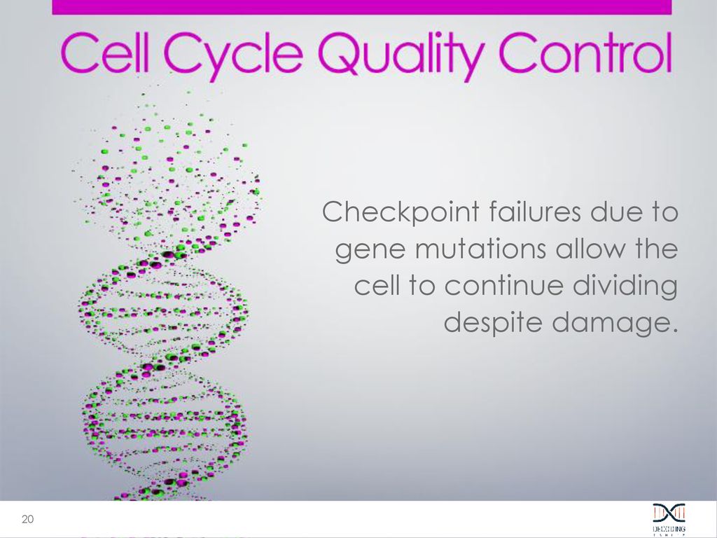 Instructor Notes This lesson focuses on breast cancer. For more ... Biology Diagrams