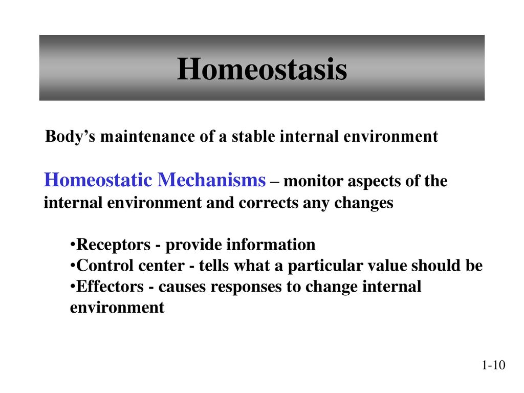 Anatomy and Physiology - ppt download