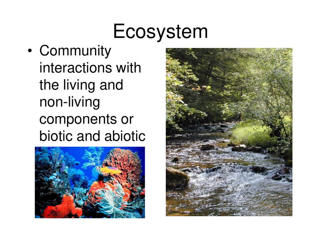 Ecosystem Community interactions with the living and non-living components or biotic and abiotic components interacting in a given area.