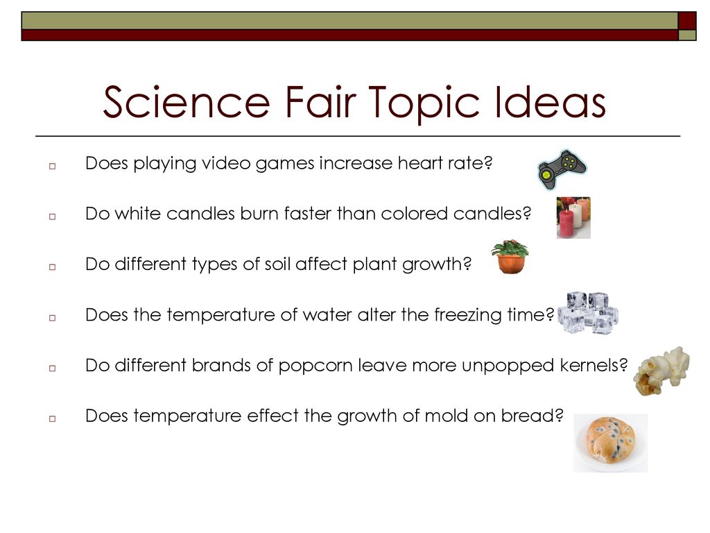 science-fair-information-ppt-download
