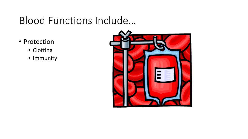 The vascular system ppt download