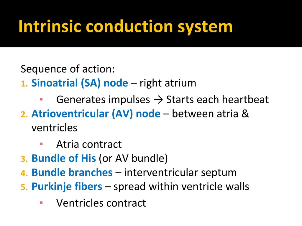 Cardiovascular System - ppt download