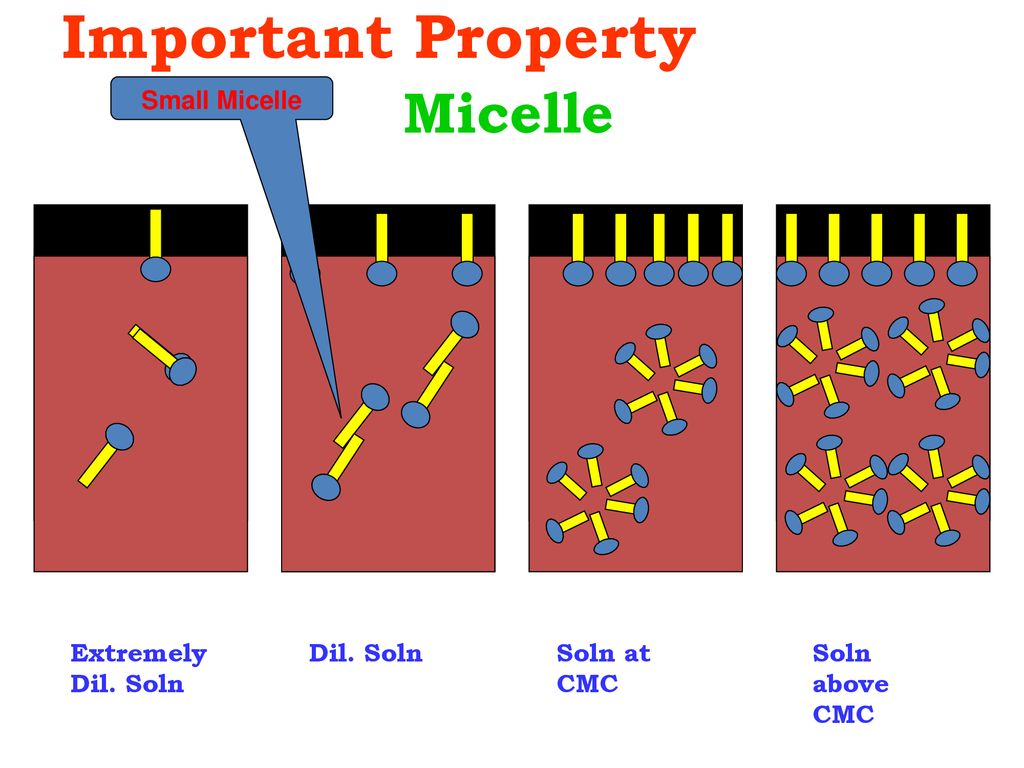 Important Property Micelle