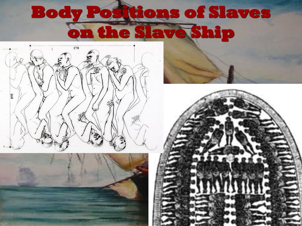 Body Positions of Slaves on the Slave Ship