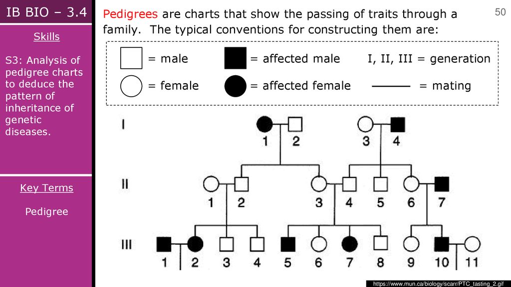 Topic Inheritance Ppt Download