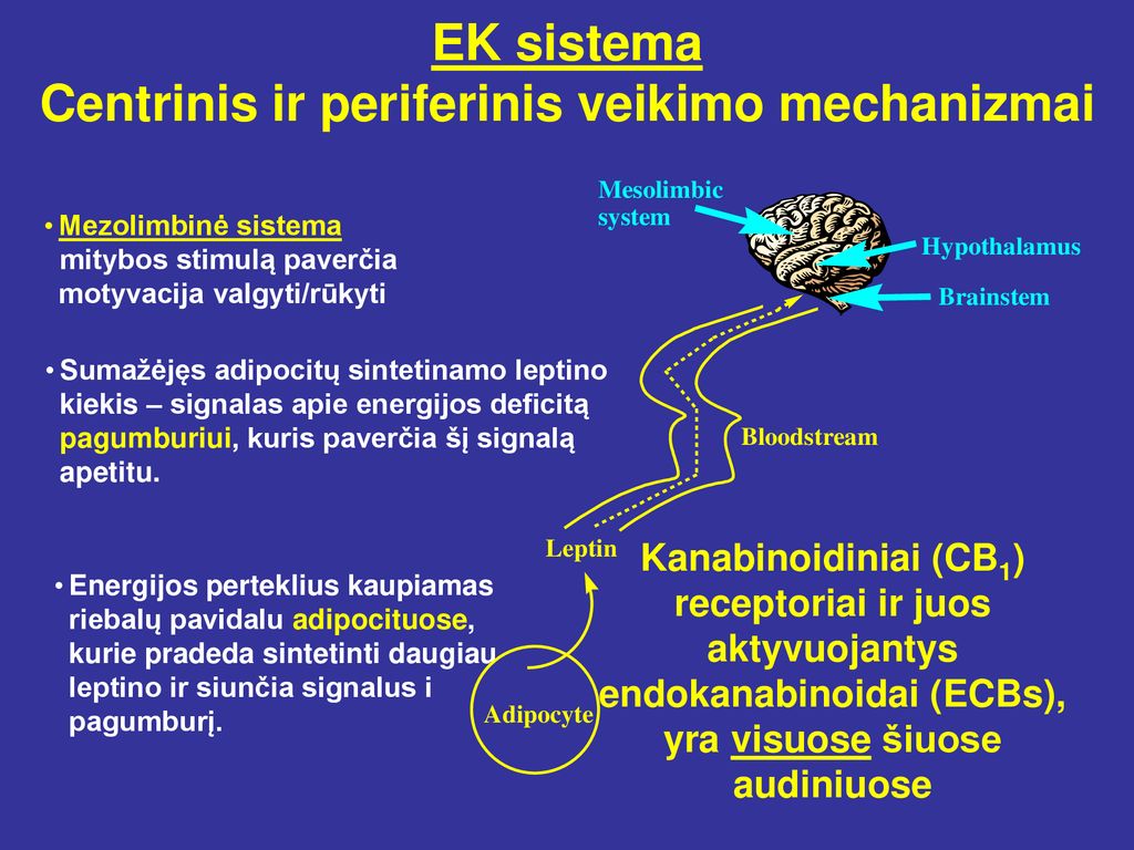 metforminas ir hipertenzija)