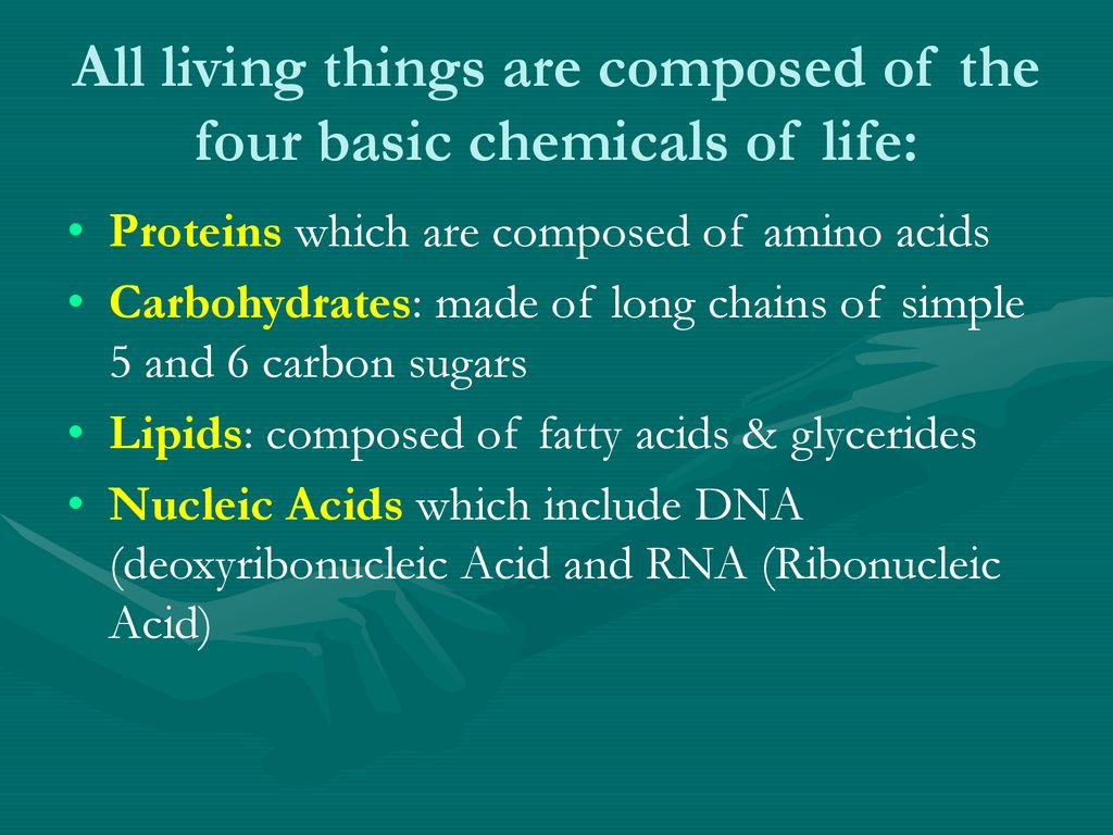 All living things are composed of the four basic chemicals of life: