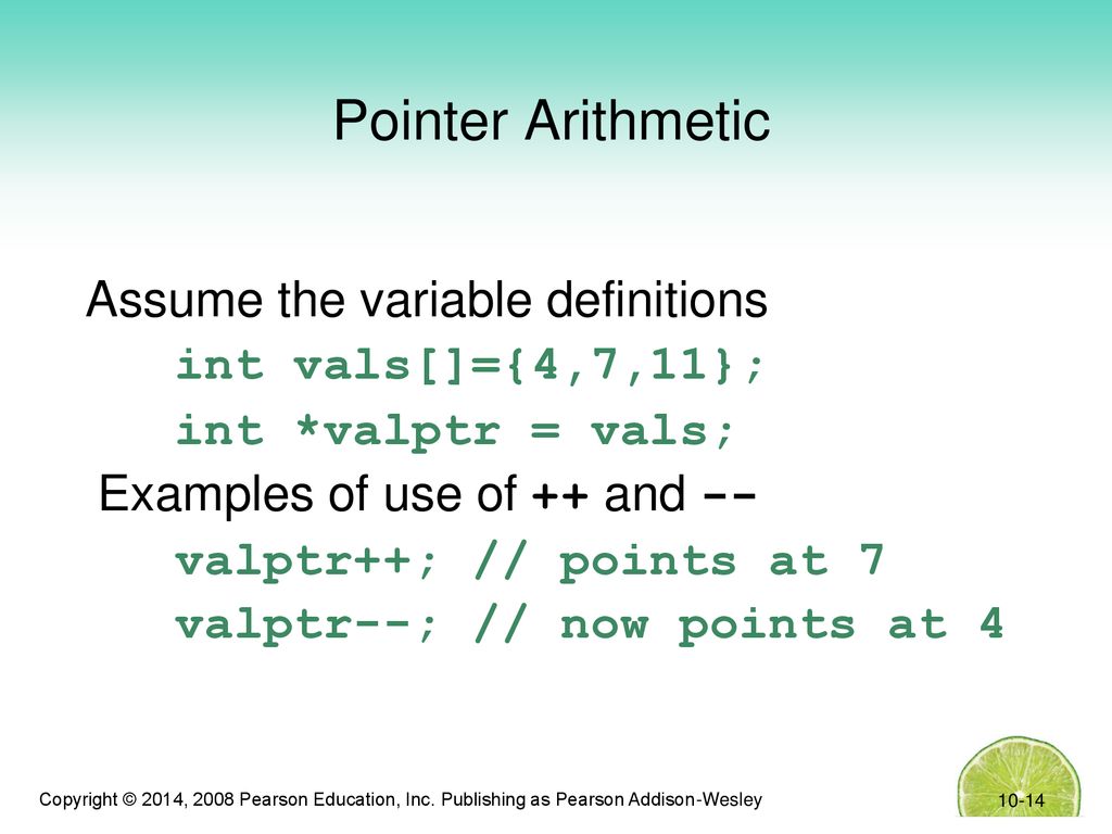 Chapter 10 pointers starting out with c early objects ppt download